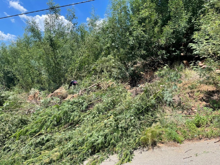 0 Bedroom Property for Sale in Ohenimuri Gauteng