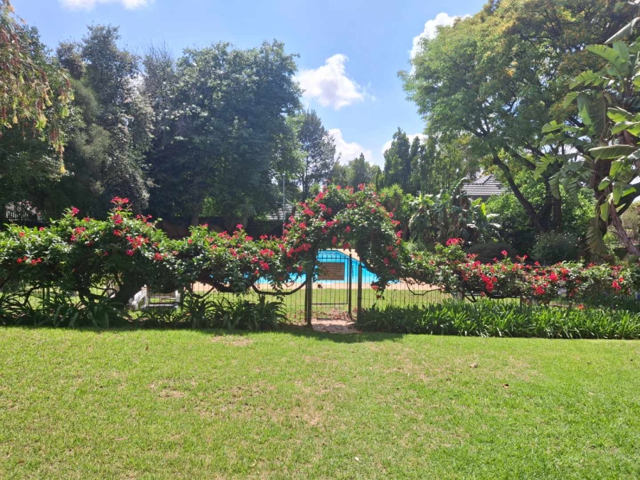 To Let 3 Bedroom Property for Rent in Illovo Gauteng