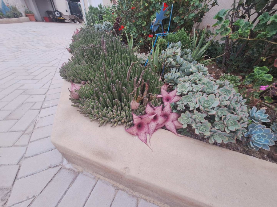 5 Bedroom Property for Sale in Farrar Park Gauteng