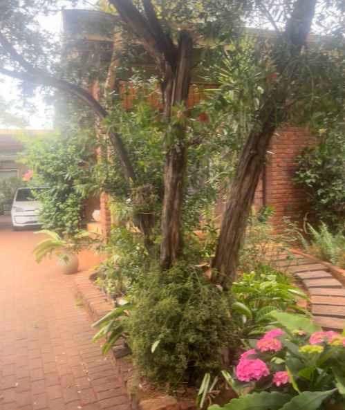 3 Bedroom Property for Sale in Dorandia Ext 4 Gauteng