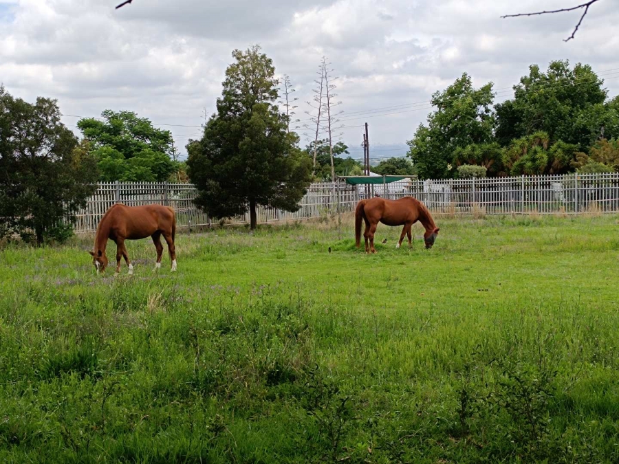 7 Bedroom Property for Sale in Midrand Gauteng