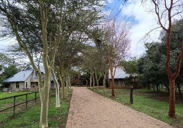 7 Bedroom Property for Sale in Midrand Gauteng