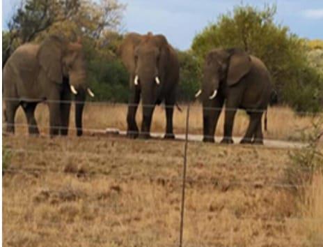 6 Bedroom Property for Sale in Dinokeng Gauteng