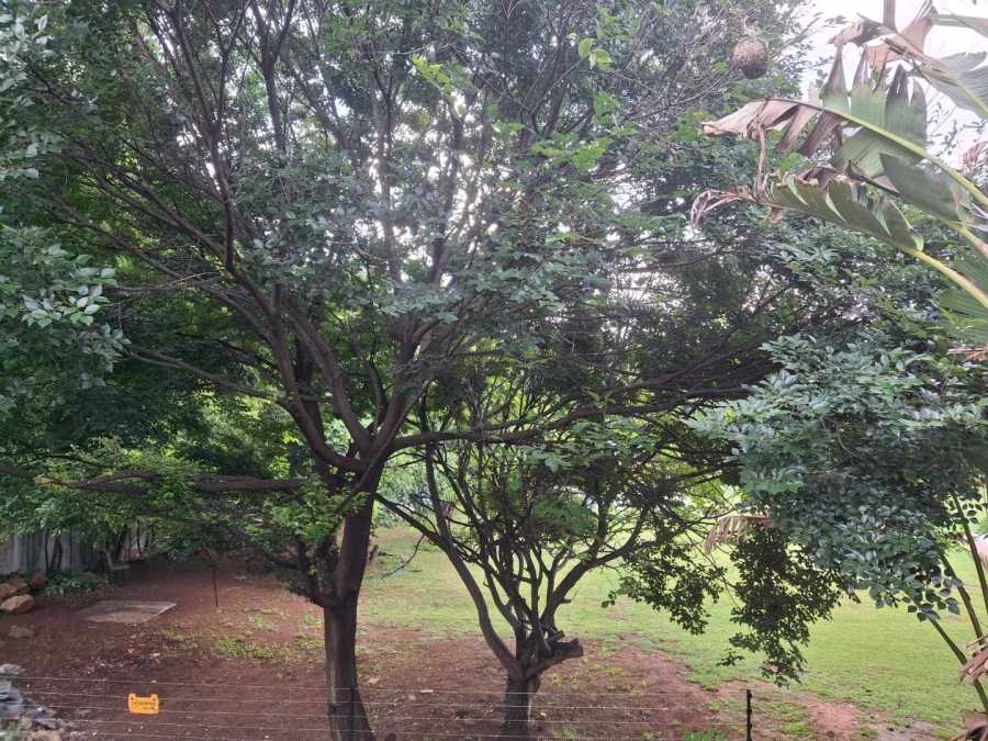 To Let 3 Bedroom Property for Rent in Saxonwold Gauteng