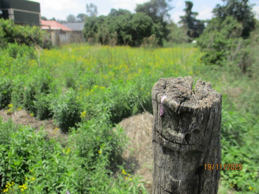 0 Bedroom Property for Sale in Henley on Klip Gauteng