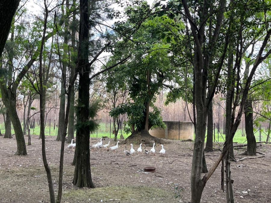 4 Bedroom Property for Sale in Donkerhoek AH Gauteng