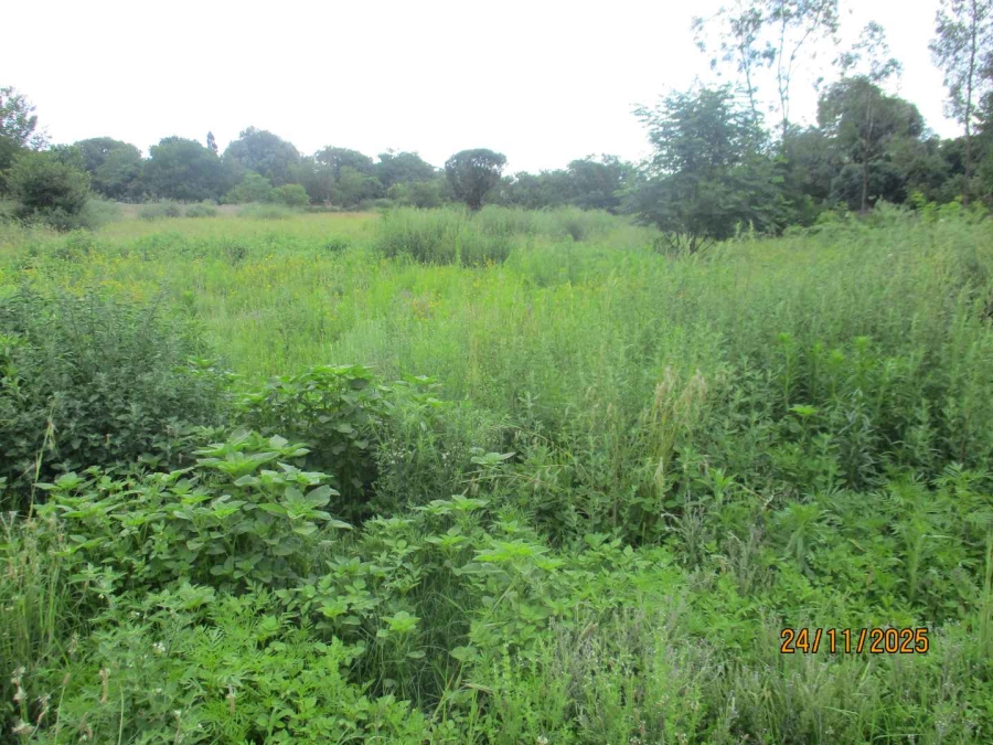 0 Bedroom Property for Sale in Henley on Klip Gauteng