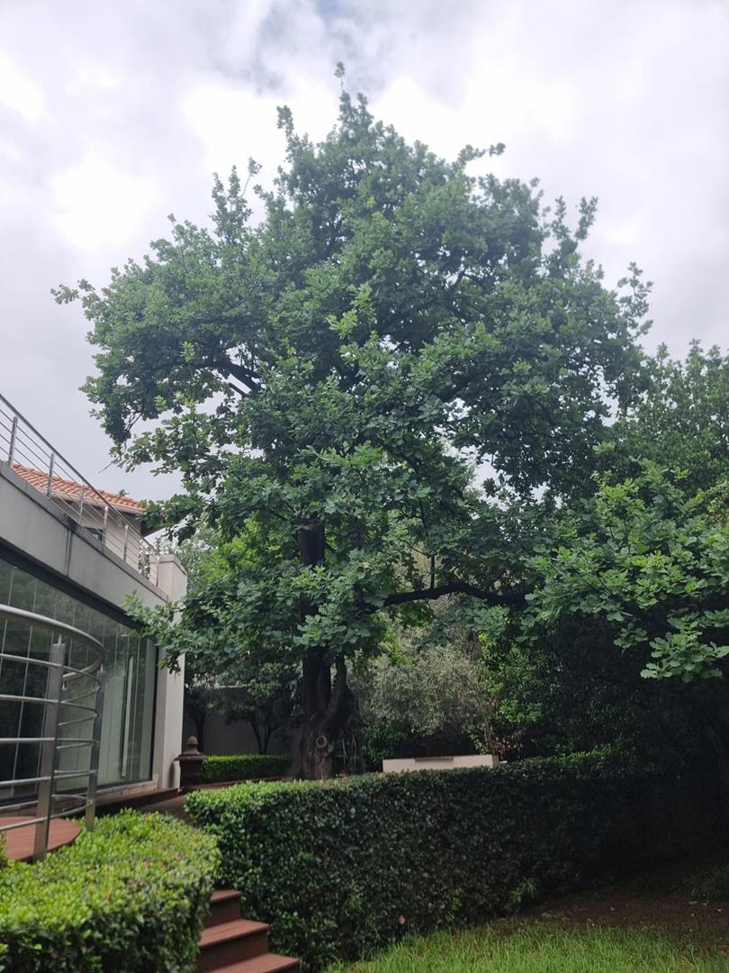 5 Bedroom Property for Sale in Hurlingham Gauteng