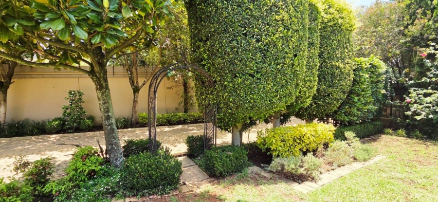 To Let 4 Bedroom Property for Rent in Bryanston East Gauteng