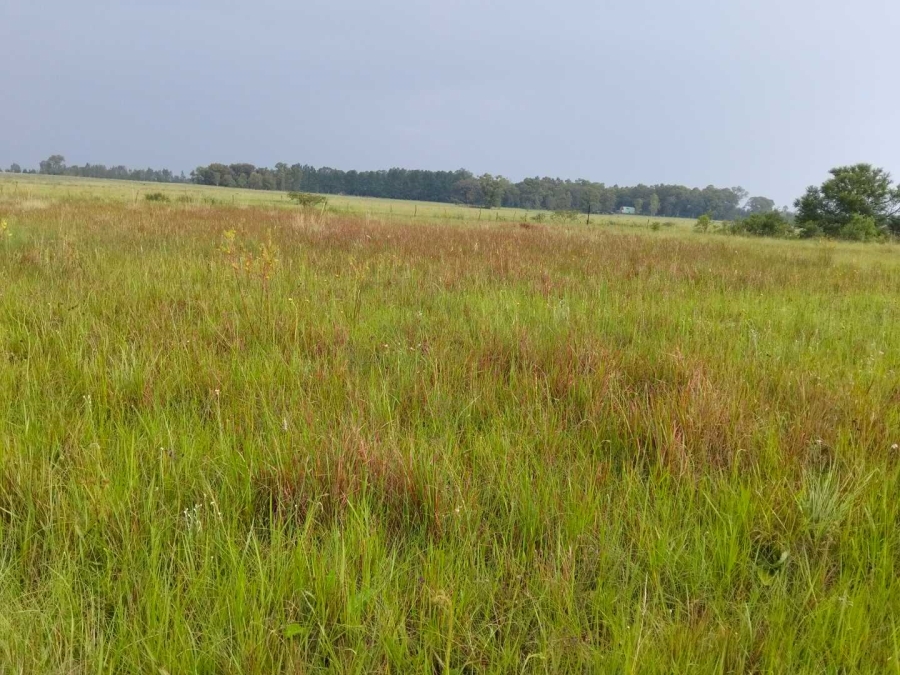 0 Bedroom Property for Sale in Rayton Gauteng