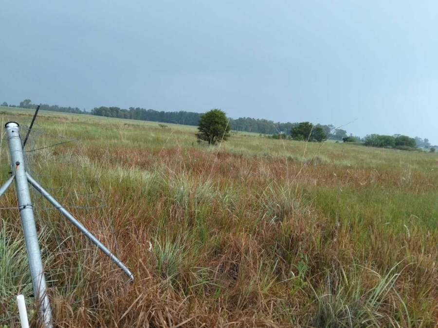 0 Bedroom Property for Sale in Rayton Gauteng