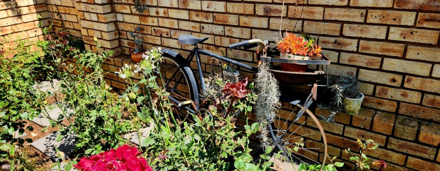 3 Bedroom Property for Sale in New Redruth Gauteng