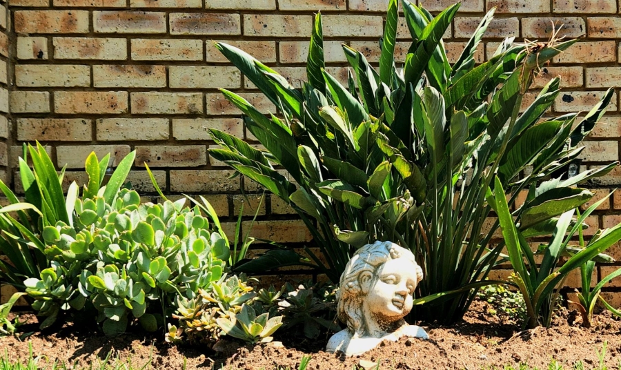 3 Bedroom Property for Sale in New Redruth Gauteng