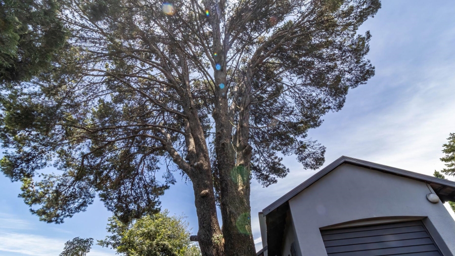 3 Bedroom Property for Sale in Mackenzie Park Gauteng