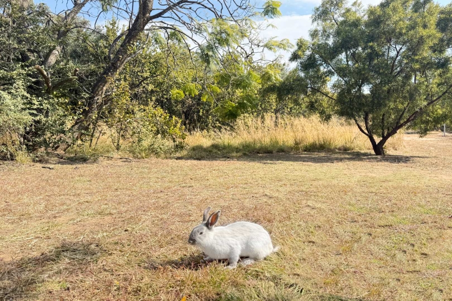 2 Bedroom Property for Sale in Fourways Gauteng