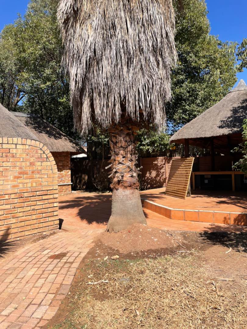To Let 1 Bedroom Property for Rent in Linbro Park Gauteng