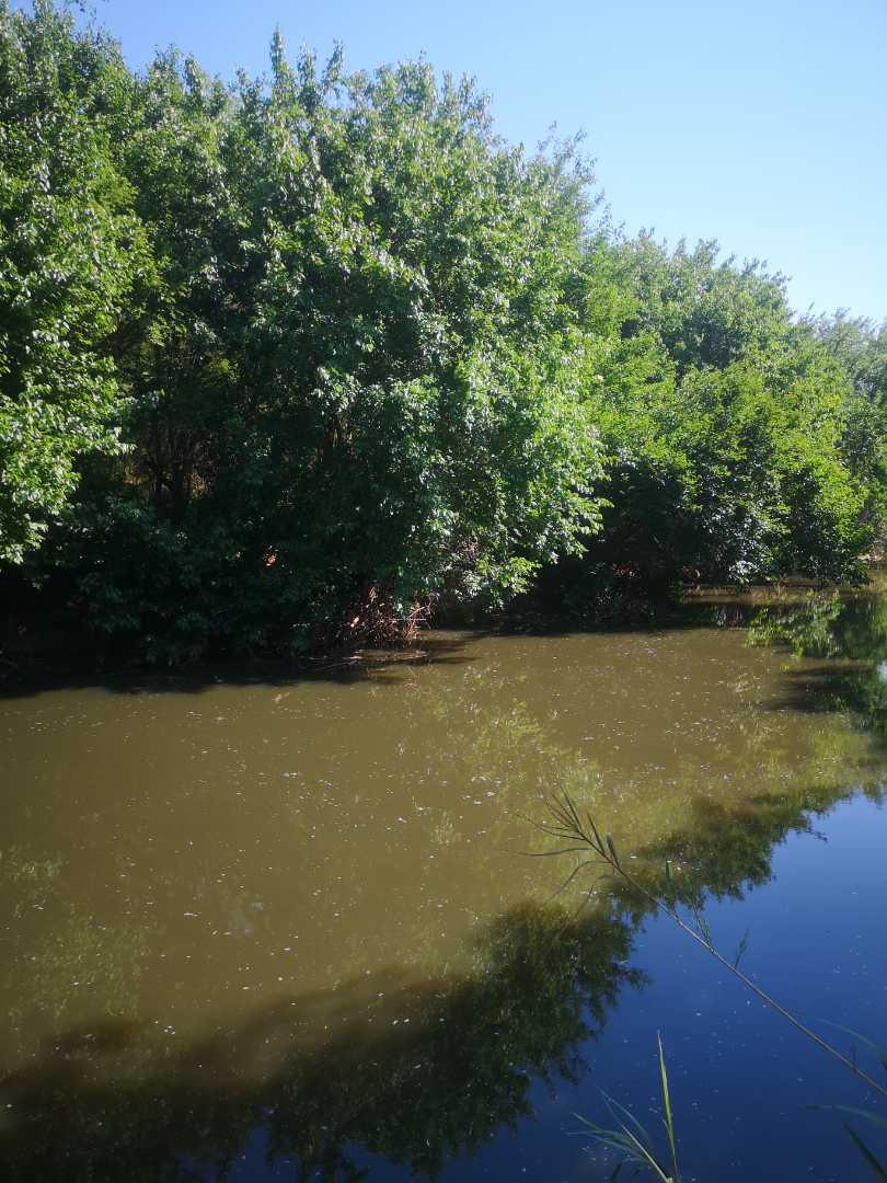 5 Bedroom Property for Sale in Hennops River Gauteng