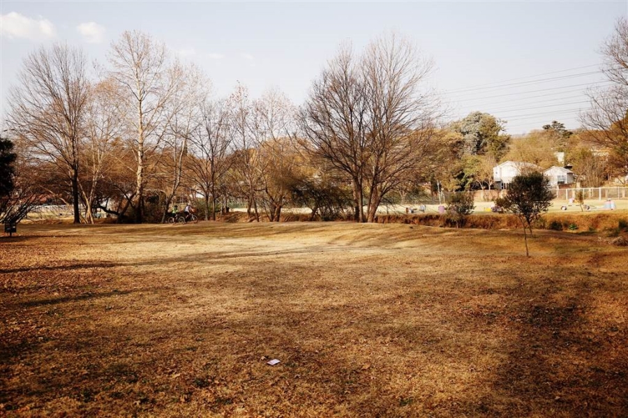 To Let 4 Bedroom Property for Rent in Craighall Park Gauteng