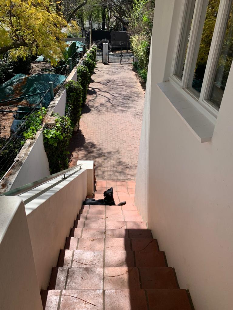 To Let 1 Bedroom Property for Rent in Dunkeld Gauteng