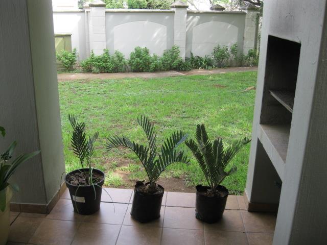 To Let 2 Bedroom Property for Rent in Olympus AH Gauteng
