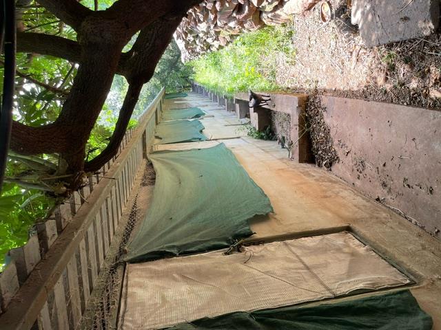 3 Bedroom Property for Sale in Walkerville Gauteng