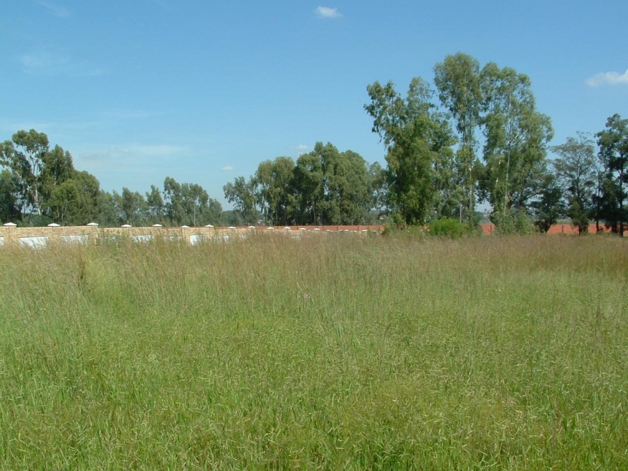 Commercial Property for Sale in Riversdale Gauteng