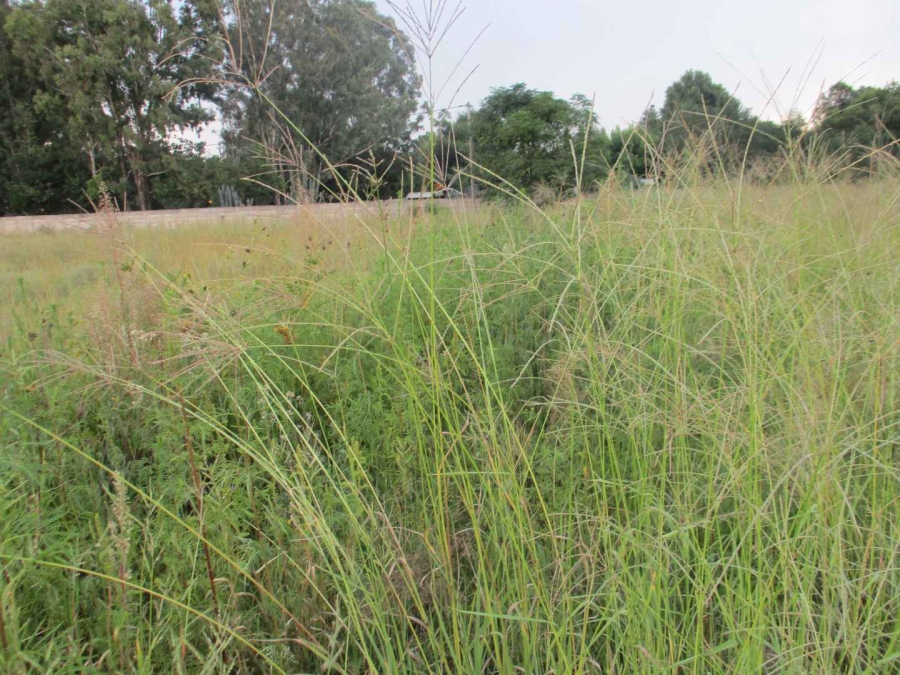 0 Bedroom Property for Sale in Henley on Klip Gauteng