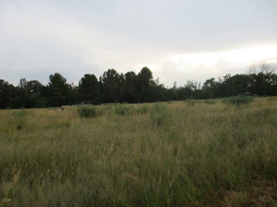 0 Bedroom Property for Sale in Henley on Klip Gauteng