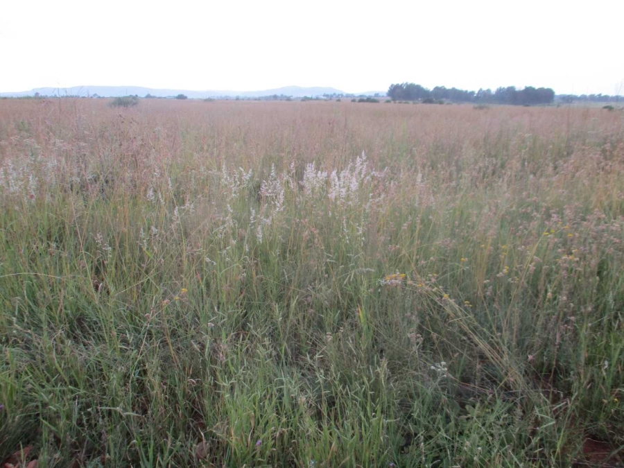 0 Bedroom Property for Sale in Henley on Klip Gauteng
