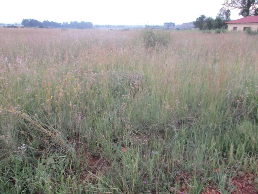0 Bedroom Property for Sale in Henley on Klip Gauteng
