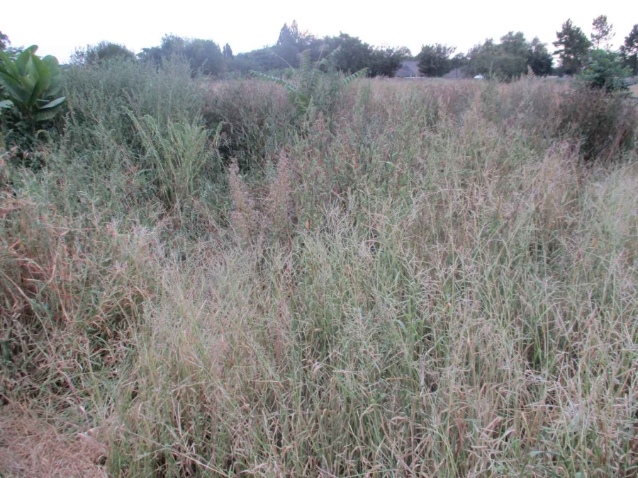 0 Bedroom Property for Sale in Henley on Klip Gauteng