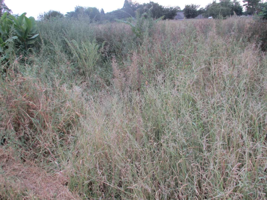 0 Bedroom Property for Sale in Henley on Klip Gauteng