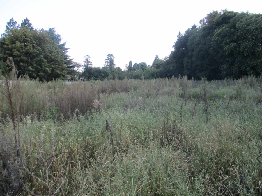 0 Bedroom Property for Sale in Henley on Klip Gauteng