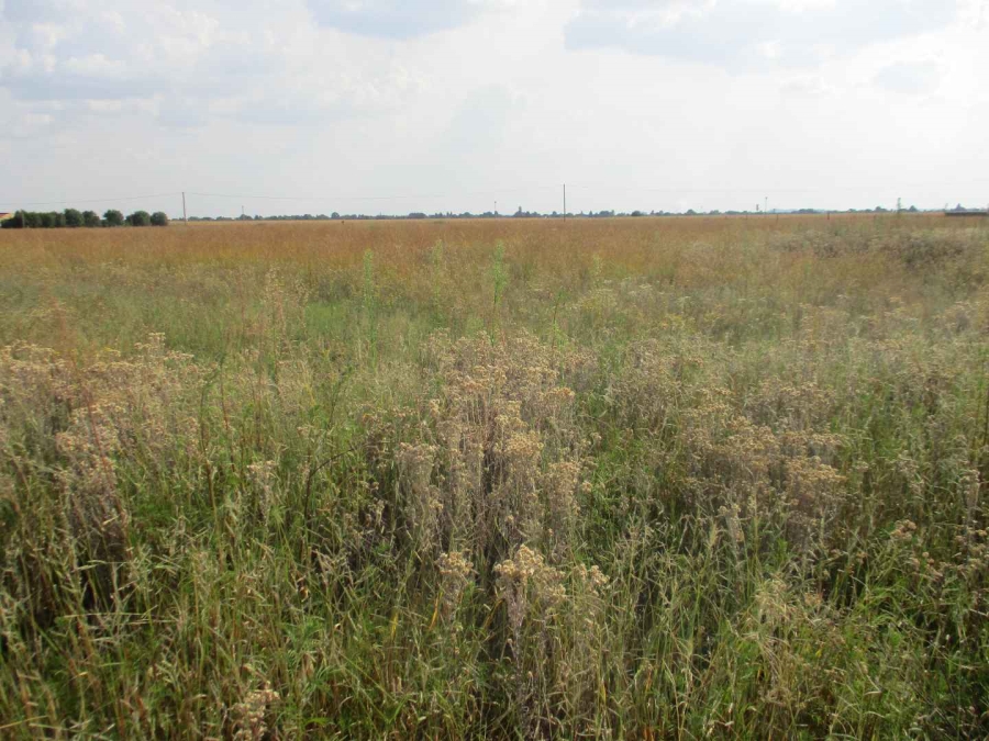 0 Bedroom Property for Sale in Henley on Klip Gauteng