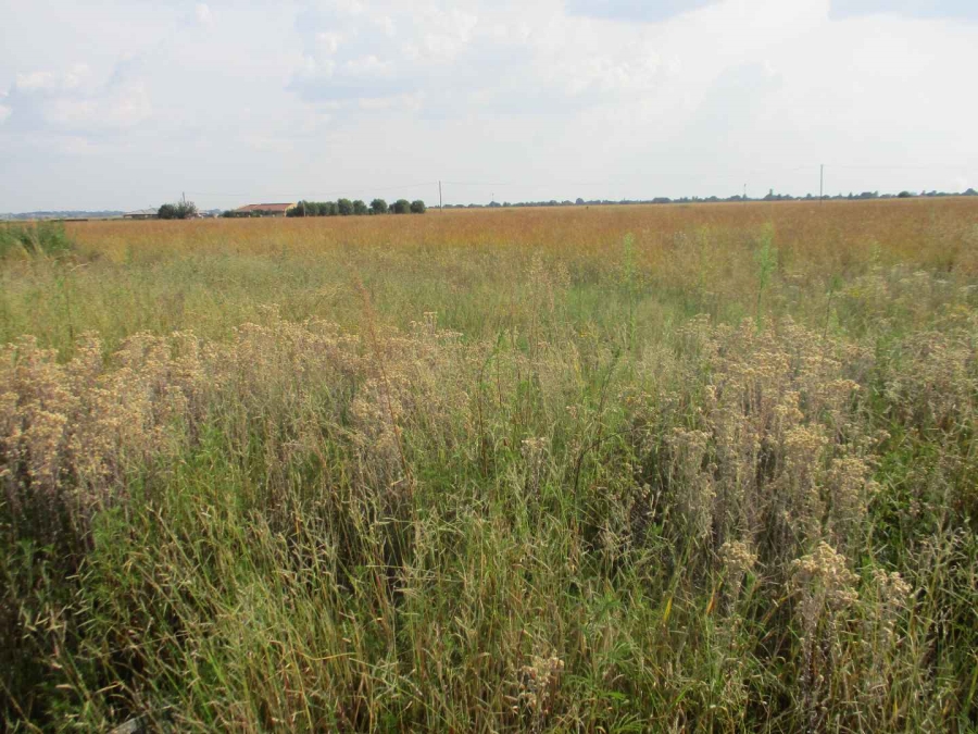 0 Bedroom Property for Sale in Henley on Klip Gauteng