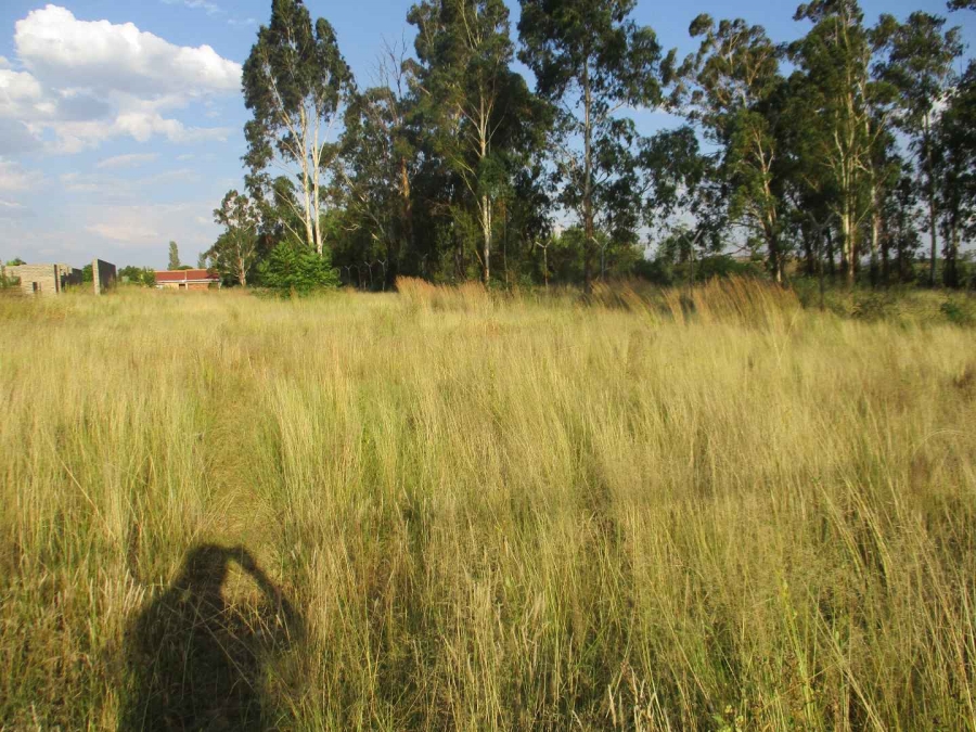 0 Bedroom Property for Sale in Henley on Klip Gauteng