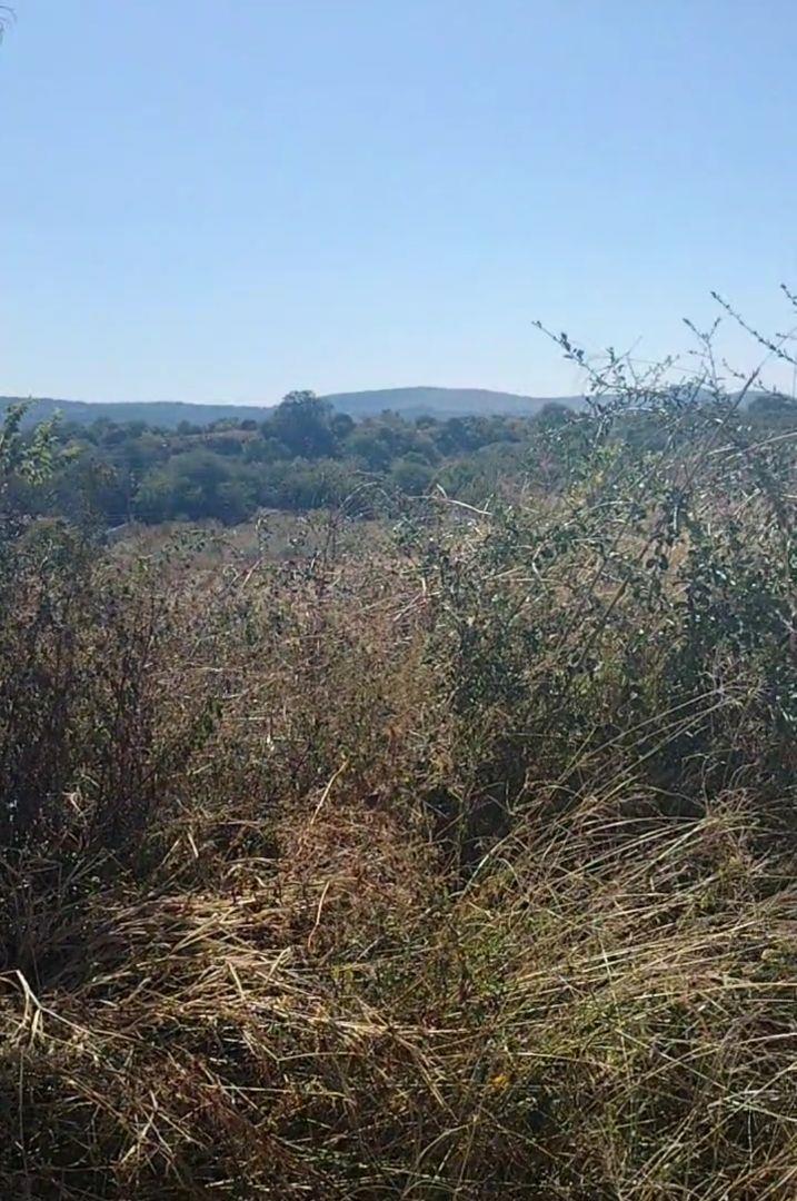 0 Bedroom Property for Sale in Vaaloewer Gauteng