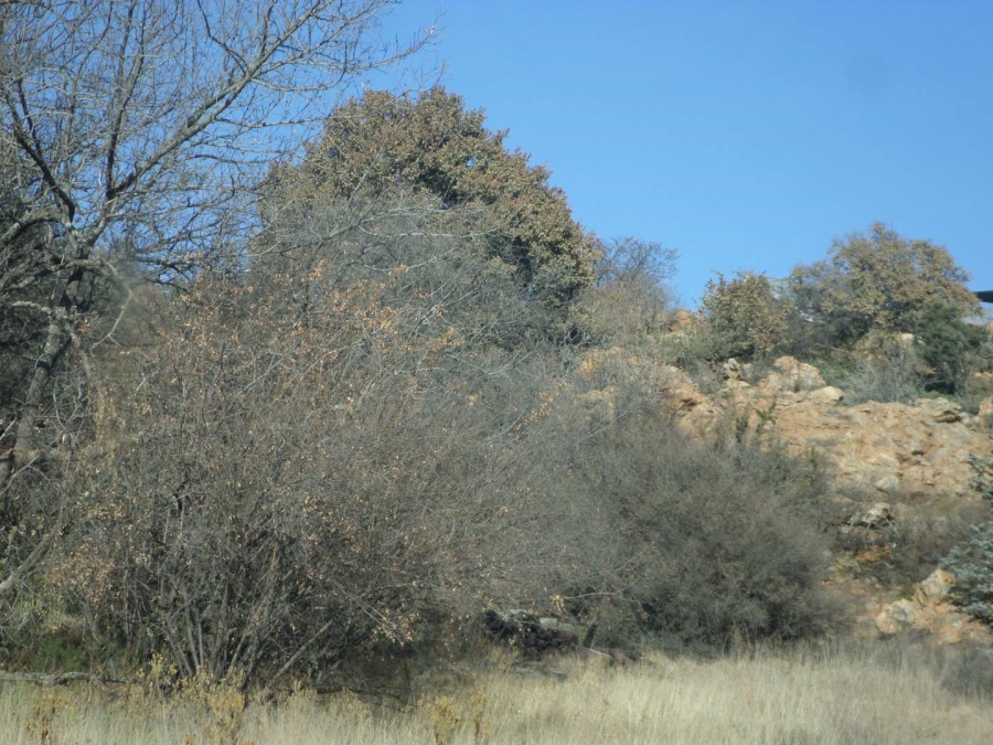0 Bedroom Property for Sale in Vaaloewer Gauteng