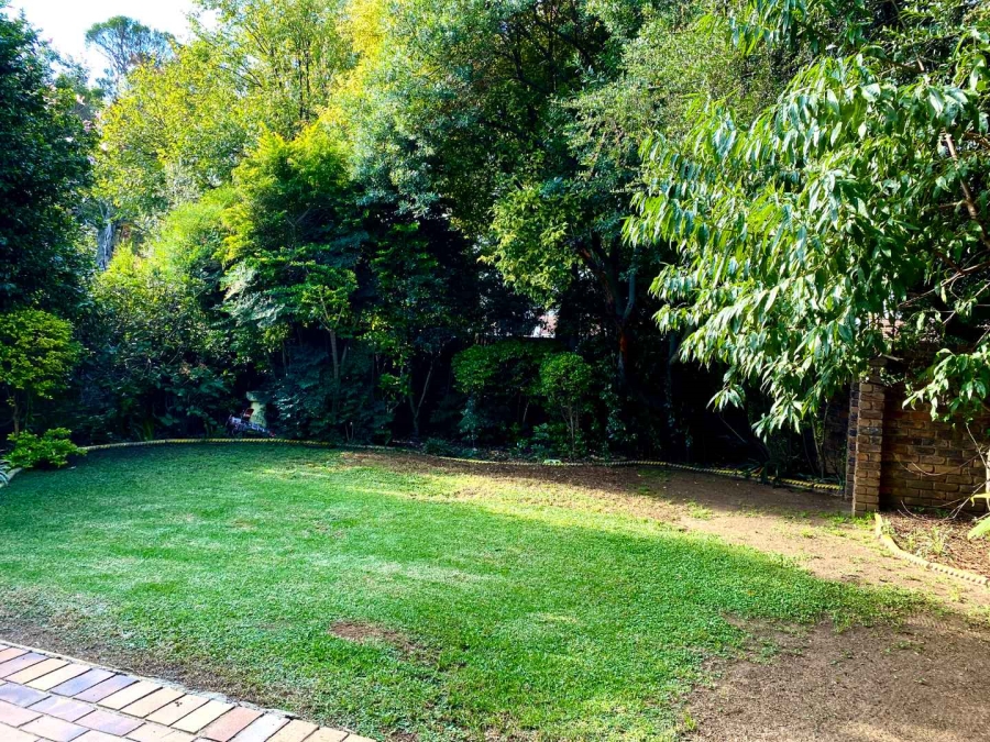 To Let 3 Bedroom Property for Rent in River Club Gauteng