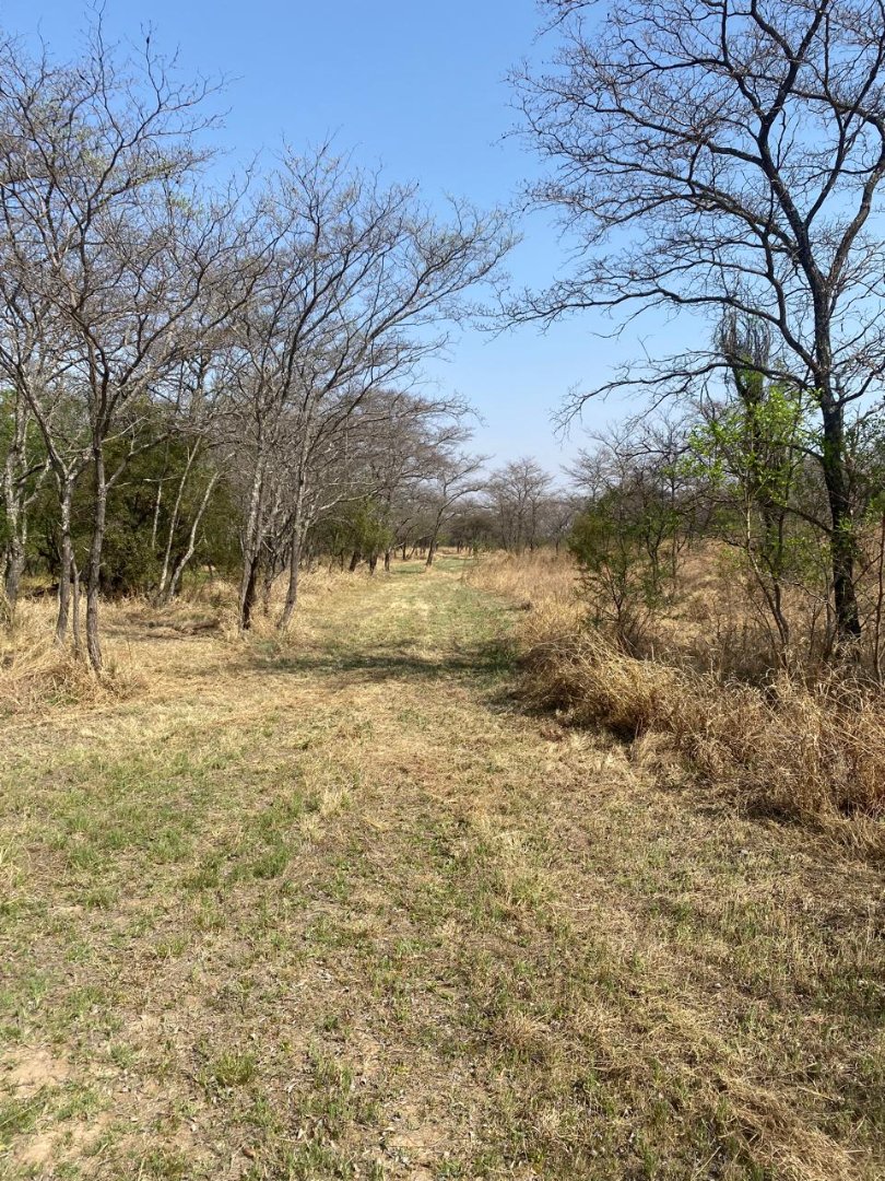 Commercial Property for Sale in Dinokeng Game Reserve Gauteng