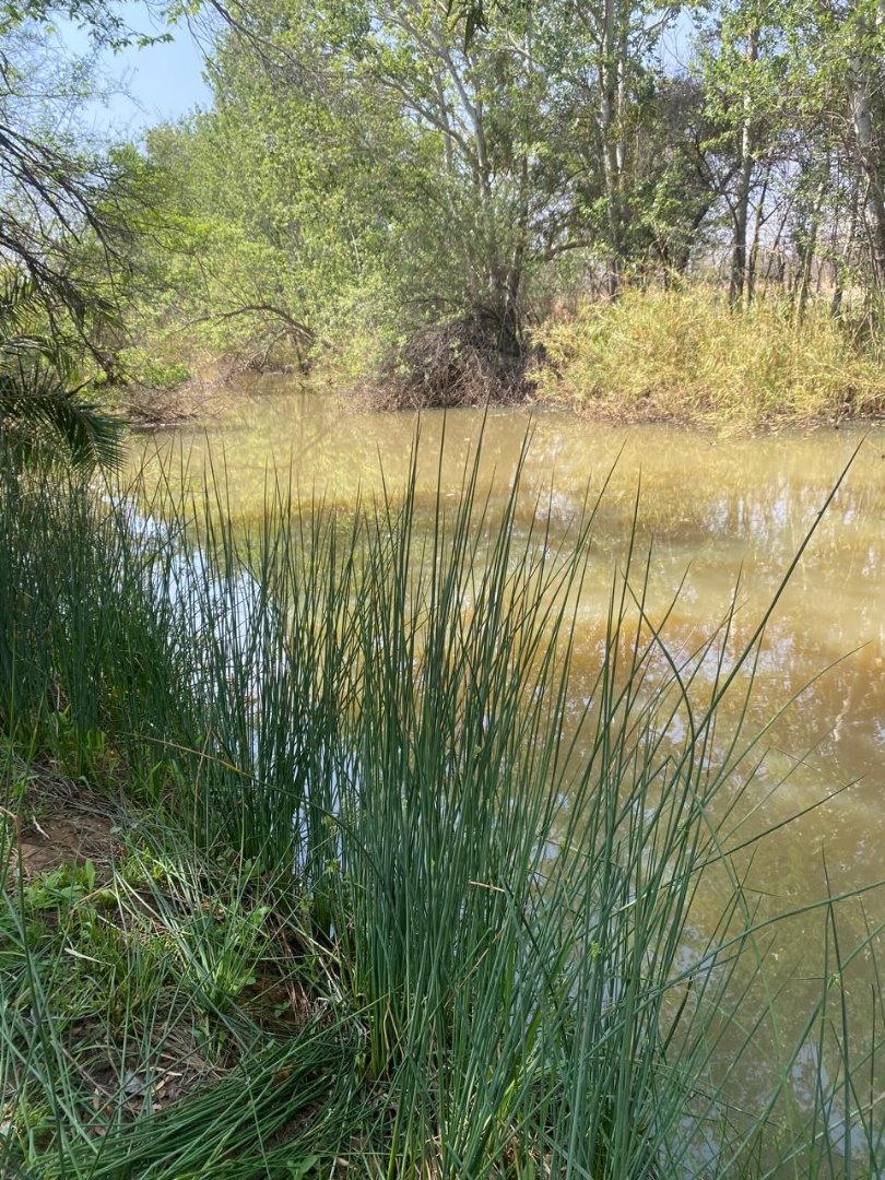 Commercial Property for Sale in Dinokeng Game Reserve Gauteng