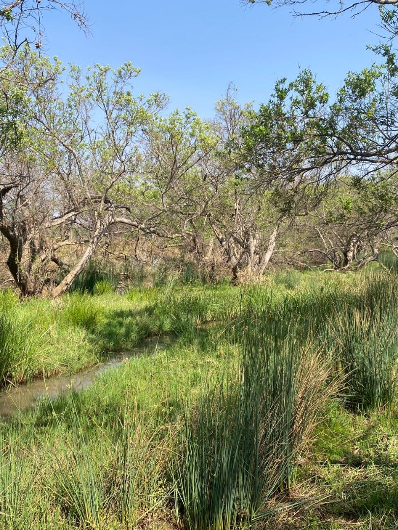 Commercial Property for Sale in Dinokeng Game Reserve Gauteng