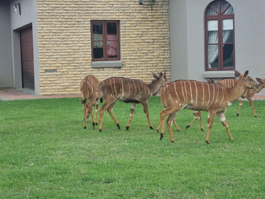 Commercial Property for Sale in Waterlake Farm Lifestyle Estate Gauteng