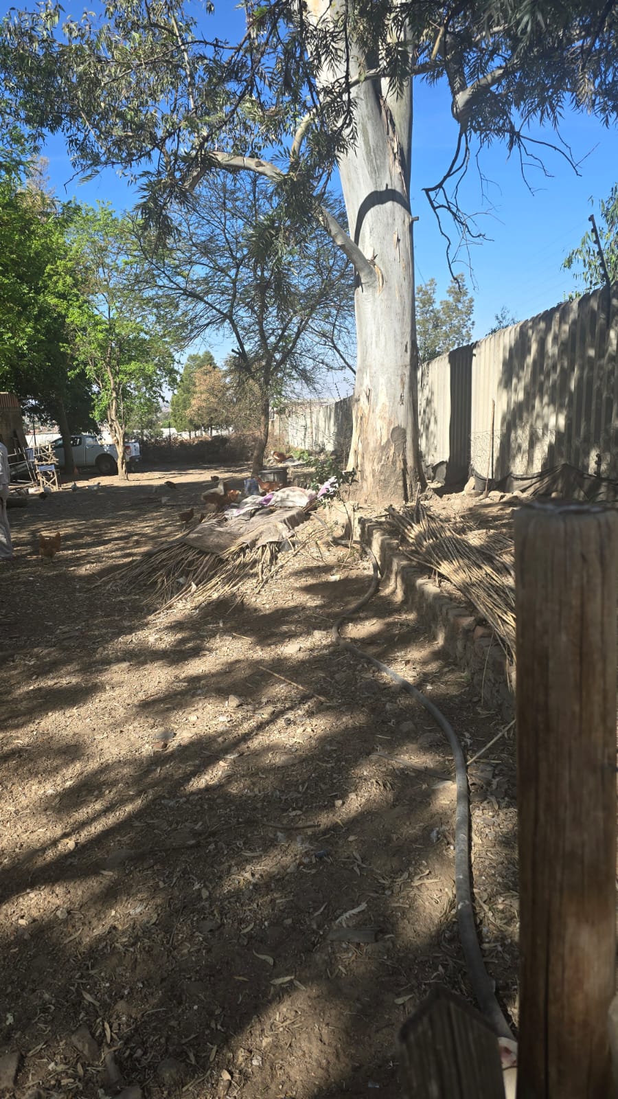 Commercial Property for Sale in President Park Gauteng
