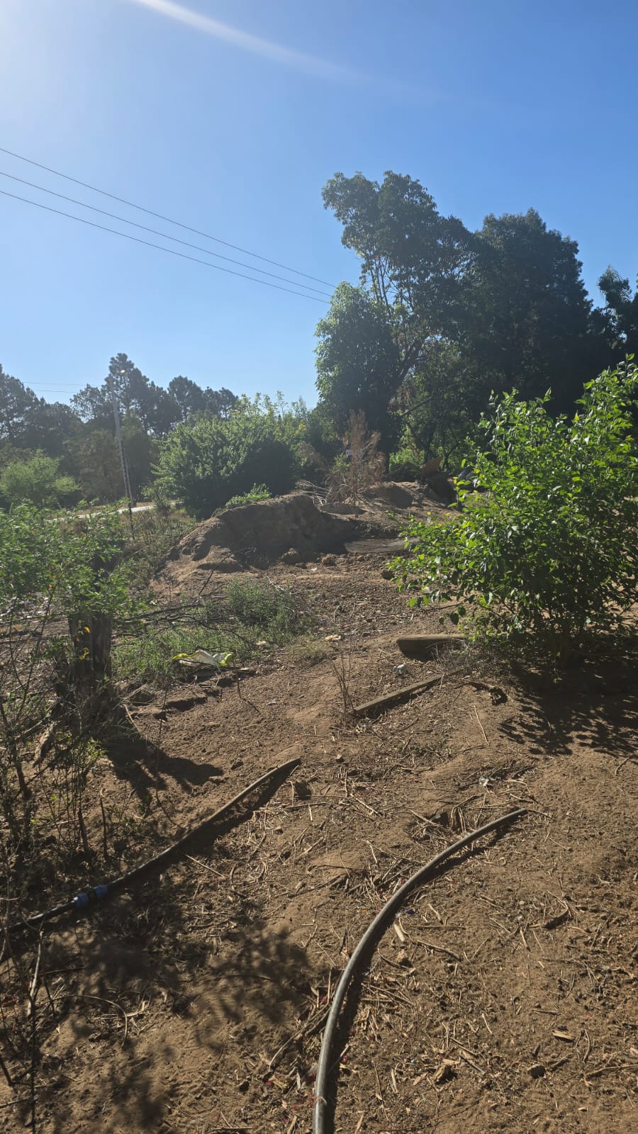 Commercial Property for Sale in President Park Gauteng
