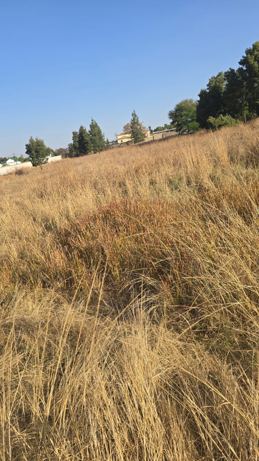 Commercial Property for Sale in President Park Gauteng