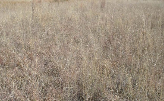 Commercial Property for Sale in Doornrandje Gauteng