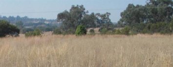 Commercial Property for Sale in Doornrandje Gauteng