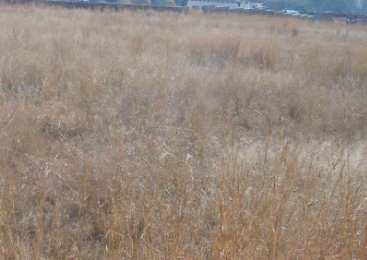 Commercial Property for Sale in Doornrandje Gauteng