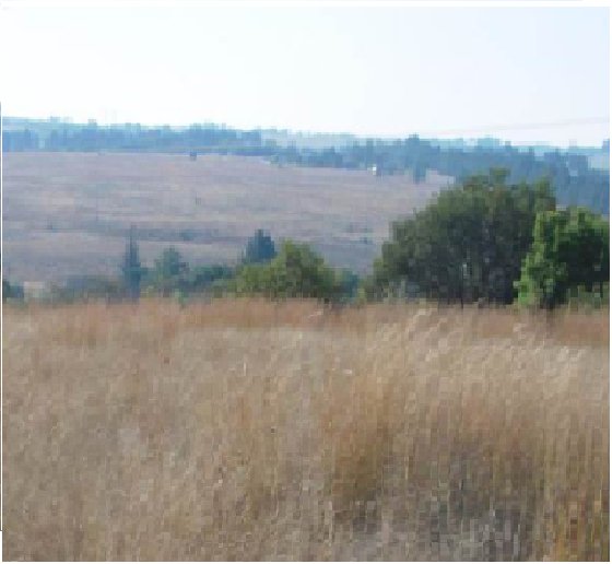 Commercial Property for Sale in Doornrandje Gauteng